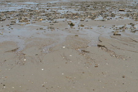 beach ocean relax sand summer sunlight cloudの写真素材