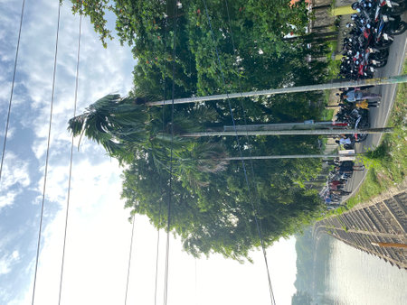 Reflection of trees in the water. View from below. The background is blurred.の写真素材