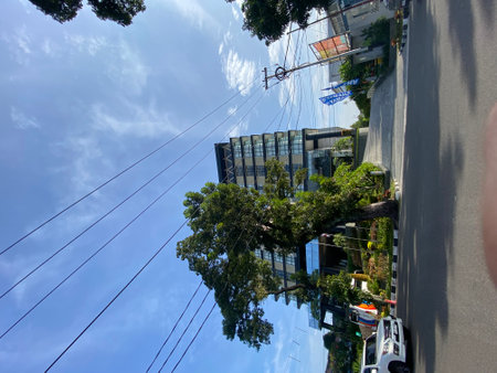 View from the side of the road.の写真素材