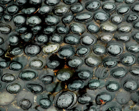 round pebbles in water close up