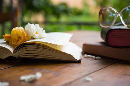 rose and the old book and spectacles on a tableの写真素材