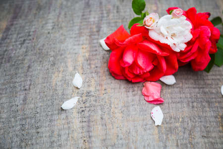 vintage rose flower for use on the gray wooden backgroundの写真素材