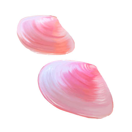 set of Pink seashells. Vector illustration. Under the sea. Underwater purple life. pink urchin....