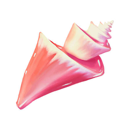 set of Pink seashells. Vector illustration. Under the sea. Underwater purple life. pink urchin. Mollusc. - Vector illustrationのイラスト素材