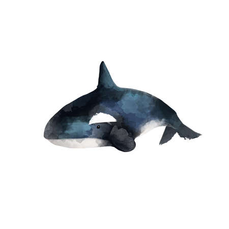 Watercolor whale hand painted illustration isolated on white background. Realistic underwater animal. Digital modern artistic illustration.の写真素材