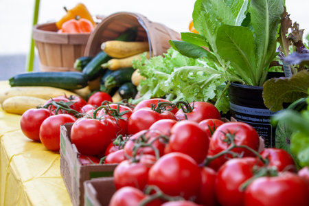 Fresh vegetables and fruit for sale at a Farmers Market.の写真素材