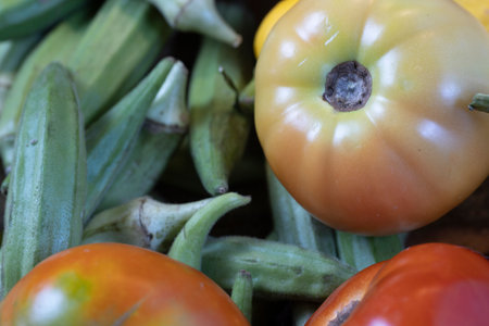 Summer vegetable harvest medley of various vegetables.の写真素材