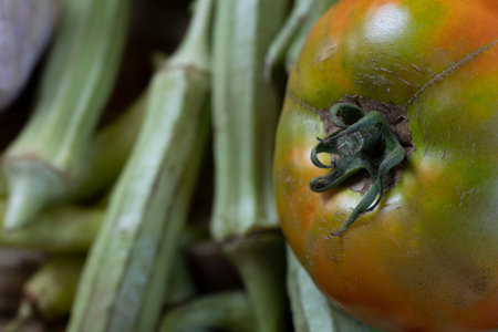 Summer vegetable harvest medley of various vegetables.の写真素材