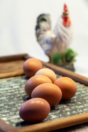 Fresh brown yard eggs photo.