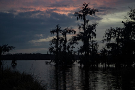 Sunset on Lake Martin Swamp in Breaux Bridge, LAの写真素材