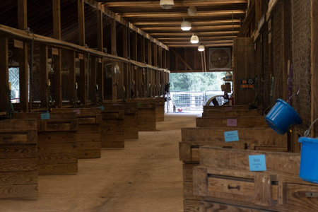 Interior of a large horse barn.