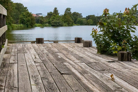 Scenic fishing dock or pier on lake.