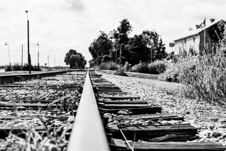 Low angle of railroad tracks.の写真素材