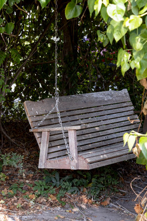 Wooden swing hidden in the bushes.の写真素材