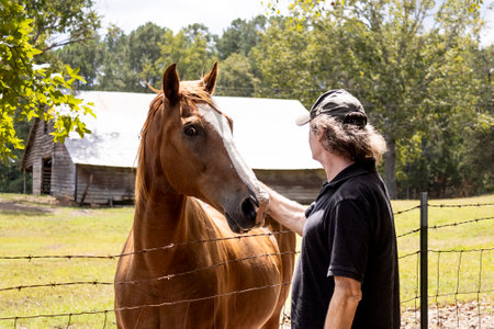 Man petting a chestnut horse over the fence.の写真素材