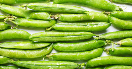 Young green pea pods laid in the rowsの写真素材