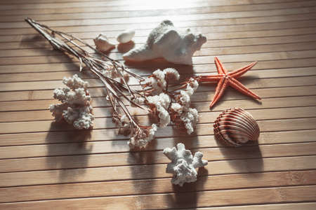 Closeup of sea set の写真素材