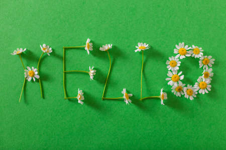 The word hello written with daisy petals.