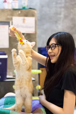 Asian girl with glasses playing with catの写真素材
