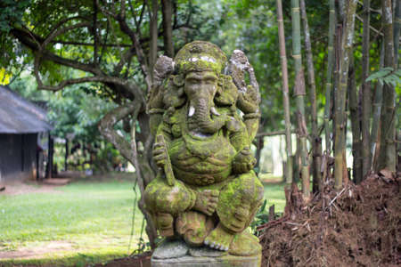 Ganesha coverd by moss in the parkの写真素材