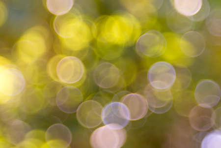 Natural yellow blurred bokeh in green parkの写真素材