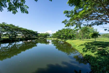 Lake and forest in Mae fah luang universityの写真素材