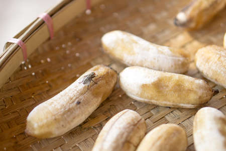 Big fly on sun dried bananaの写真素材