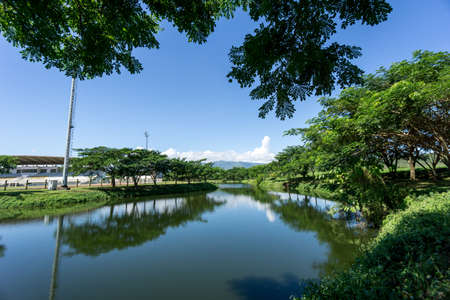 Lake and forest in Mae fah luang universityの写真素材