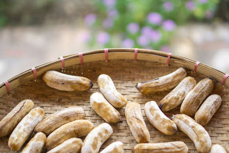 Banana preserved by sundry methodの写真素材