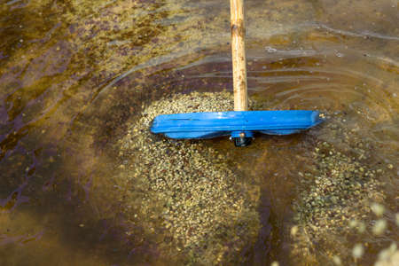 Red berries coffee bean process in factoryの写真素材