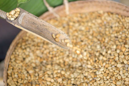 Dry coffee bean process in factory