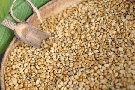 Dry coffee bean process in factory