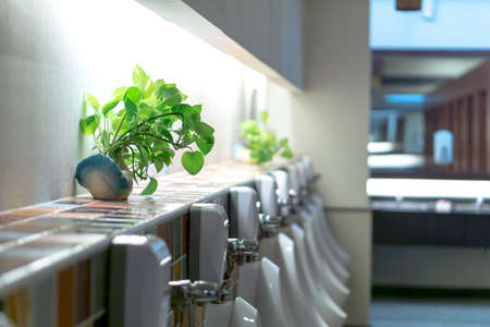 Men's toilet with small plantsの写真素材