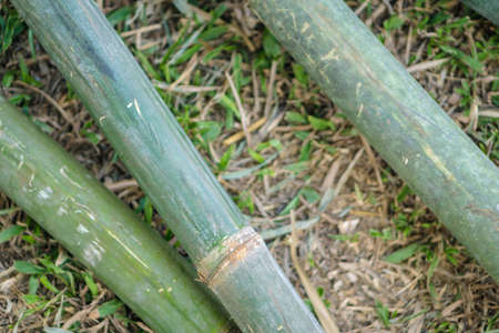 Bamboo woodworking carpenter in Thailandの写真素材
