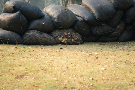 Full of tree leaves garbage bagの写真素材