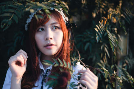 Charming Asian girl in japanese maid costume in film color styleの写真素材