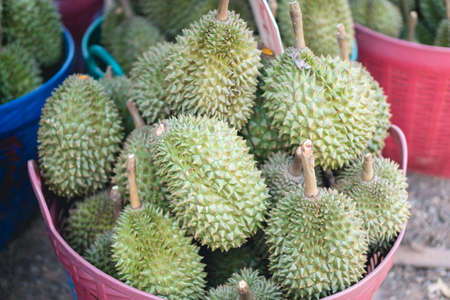 Durian the king of fruit on marketの写真素材