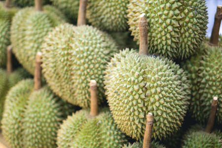 Durian the king of fruit on market
