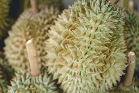 Durian the king of fruit on marketの写真素材