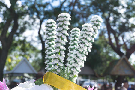 Colorful decoration artificial flower in eventの写真素材