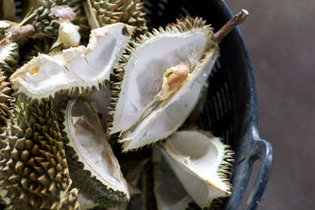 Durian the king of fruit on market