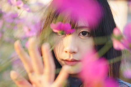 Charming Asian girl with beautiful Cosmos flowerの写真素材