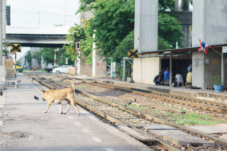 Old and oily train railwaysの写真素材