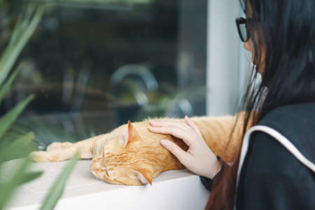 Asian girl with glasses playing with cat
