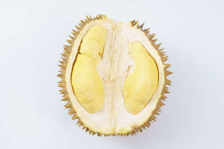 Durian fruit on white backgroundの写真素材