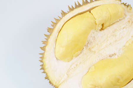 Durian fruit on white background