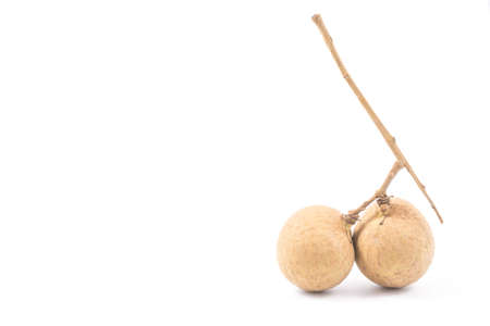Longan Asian fruit on white backgroundの写真素材
