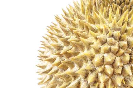 Durian fruit on white background