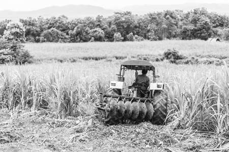 Tractor survaying sugar cane field farmの写真素材