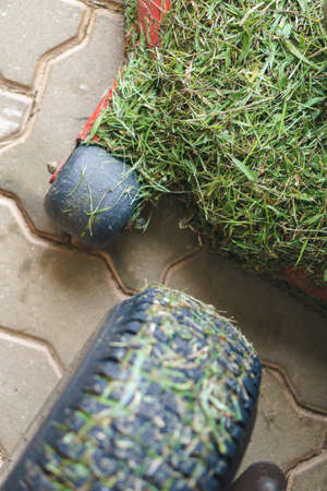 Red lawn mower on dutyの写真素材